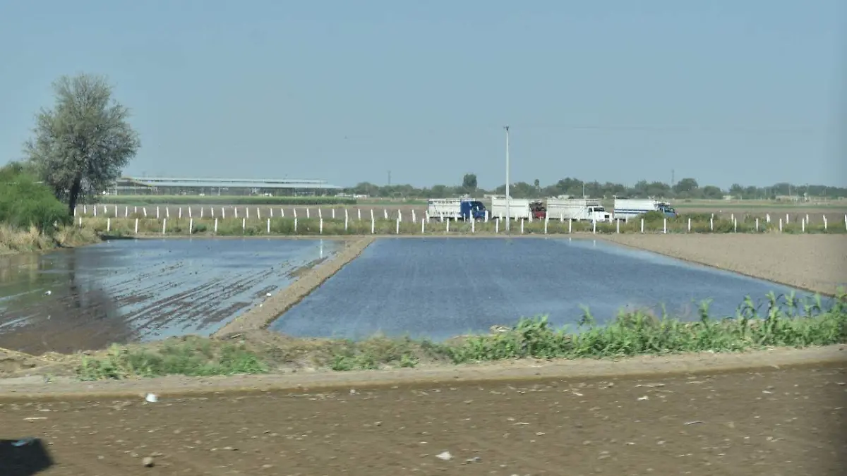 33 APRUEBAN 41 PROYECTOS AGROPECUARIOS EN FIM1